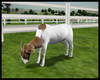 Animated Goat