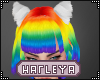 Katt Rainbow w EARS