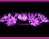 *Light purple flower