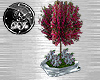 rD Plant pott Nexus