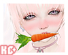 Ko ll Carrot V2
