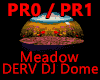 Meadow DERV DJ Dome.
