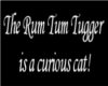 Rum Tum Tugger CATs