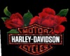 Harley Rose Poster