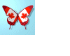 D2 CanadaBtrfly sticker