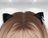 Cat Ears ♡