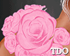 Rose | Pink On Shoulder