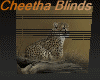 [bu]cheetha Blinds