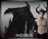 ! Incubus Wings