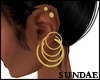 GOLD HOOPS & STUDS