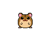 [CC] Little Cute Hamster