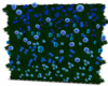 Light Blue Flower Wall
