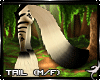 !F:Kichi: Tail 2