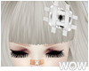 lPl HAIR FIRST-AID ~Db.