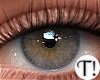 T! Beauty Eyes 13