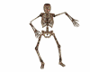 C*Skeleton halloween F&M