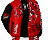 chicagobulls