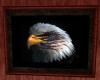 Tonks American Eagle