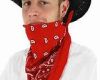Cowboy scarf