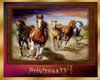 Ali-Horse painting13