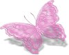 Pink butterfly sticker