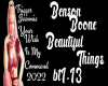 BB-Beautiful Things