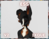ess | ears v2