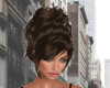 elegant brown ponytail
