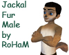 Jackal fur skin (M)