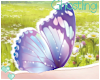 Butteryfly on Hand