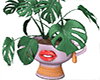 *Goddess Cafe planter
