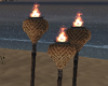 Set  Beach Torches  anim