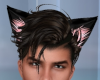 Unisex Black Cat Ears