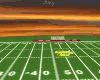 GOLDEN PANTHER FB FEILD