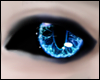 [KTF] - SapphireBlue-Eye