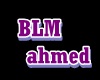 BLM AHMED NPC 2D