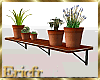 [Efr] Home Plants Shelf