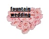 fountain wedding
