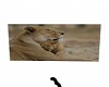 Love Lioness & Cub