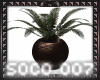 Bronze Potted Palm