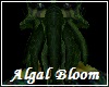 Algal Bloom Squid Mouth