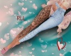 Chic Bella Jeans -RLL