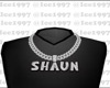Shaun custom chain