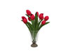 Red Tulips W/Vase