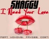 Shaggy -I need your love