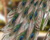 Peacock Cape