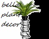 bella plant palm/decor
