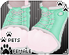 [Pets] Sneakers | Aqua