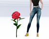 Rose by my side