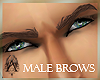 ~Å~ Natural Male Brows